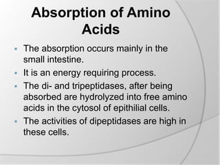 Absorption of Amino
Acids
 The absorption occurs mainly in the
small intestine.
 It is an energy requiring process.
 The di- and tripeptidases, after being
absorbed are hydrolyzed into free amino
acids in the cytosol of epithilial cells.
 The activities of dipeptidases are high in
these cells.
 