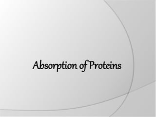 Absorption of Proteins
 