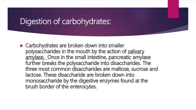 Absorption Of Carbohydrates Ppt Absorption Of Carbohydrates Ppt
