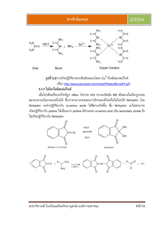 สาขาวิชาเคมี โรงเรียนมหิดลวิทยานุสรณ์
รูปที 3.2การเกิดปฏิกิริยาสารเชิงซ้อนของโลหะ
(
3.1.7 ไฮโดรไลซิสเปปไทด์
เมือโปรตีนหรือเปปไทด์ถูก
สลายกลายเป็นกรดอะมิโนได้ ซึงเราสามารถทดสอบว่ามีกรดอะมิโนหรือไม่โดยใช้
Ninhydrin จะทําปฏิกิริยากับ
เกิดปฏิกิริยากับ proline
ไม่เกิดปฏิกิริยากับ Ninhydrin
Indane-1,2
O
O
O2
R
ยนมหิดลวิทยานุสรณ์ (องค์การมหาชน)
สารชีวโมเลกุล
การเกิดปฏิกิริยาสารเชิงซ้อนของโลหะ Cu2+
กับพันธะเพปไทด์
(ทีมา http://www.piercenet.com/media/PDetectBiuretF
ไฮโดรไลซิสเปปไทด์
เมือโปรตีนหรือเปปไทด์ถูก reflux กับกรด HCl ความเข้มข้น 6M
สลายกลายเป็นกรดอะมิโนได้ ซึงเราสามารถทดสอบว่ามีกรดอะมิโนหรือไม่โดยใช้
จะทําปฏิกิริยากับ α-amino acids ให้สีม่วงเกิดขึน ซึง Ninhydrin
proline ได้เนืองจาก proline มีตําแหน่ง α-amino acid เป็น
Ninhydrin
ninhydrin
O
O
O
2,3-trione
+H2O
-H2O
R CO2
-
NH3
+
(-H3O+)
O
O O
O
N
หน้า10
2/2554
กับพันธะเพปไทด์
http://www.piercenet.com/media/PDetectBiuretF6.gif)
6M พันธะเอไมด์จะถูกยอ่ย
สลายกลายเป็นกรดอะมิโนได้ ซึงเราสามารถทดสอบว่ามีกรดอะมิโนหรือไม่โดยใช้ Ninhydrin โดย
Ninhydrin จะไม่สามารถ
เป็น secondary amide จึง
O
O
OH
OH
R O
H
CO2
 