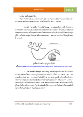 สาขาวิชาเคมี โรงเรียนมหิดลวิทยานุสรณ์
3.1.8โครงสร้างของโปรตีน
เนืองจากโปรตีนเป็นโมเลกุลขนาดใหญ่ซึงประกอบด้วยกรดอะมิโนจํานวนมากซึงยึดเหนียว
กันด้วยพันธะเพปไทด์และพันธะชนิดอืนๆ ทําให้โปรตีนมีโครงสร้าง
3.1.6.1
จัดลําดับ ชนิด และ จํานวนโมเลกุลของกรดอะมิโนในสายพอลิเมอร์โซ่ยาว ซึงโปรตีนแต่ละชนิดจะมี
ลําดับของชนิดและจํานวนโมเลกุลของกรดอะมิโนทีแน่นอน การจัดลําดับกรดอะมิโนโครงสร้างปฐม
ภูมิกําหนดให้ปลายหมู่อะมิโนอยู่ด้านซ้าย
(C-terminal)
(ทีมาhttp://www.msu.edu/course/isb/202/ebertmay/drivers/Protein
3.1.6.2
ขดหรือม้วนตัวของโครงสร้างปฐมภูมิ ถ้าเกิดจากการสร้างพันธะไฮโดรเจนระหว่าง
กรดอะมิโนหนึงกับ N-H
โครงสร้างในลักษณะบิด
จากการสร้างพันธะไฮโดรเจนระหว่าง
คู่กัน จะเกิดโครงสร้างแบบแผ่น เรียกว่า แผ่นพลีทบีต้า นอกจากจะเกิดพันธะไฮโดรเจนแล้วยัง
สามารถเกิดพันธะไดซัลไฟด์ พันธะไอออนิก เป็นต้น
ยนมหิดลวิทยานุสรณ์ (องค์การมหาชน)
สารชีวโมเลกุล
โครงสร้างของโปรตีน
เนืองจากโปรตีนเป็นโมเลกุลขนาดใหญ่ซึงประกอบด้วยกรดอะมิโนจํานวนมากซึงยึดเหนียว
กันด้วยพันธะเพปไทด์และพันธะชนิดอืนๆ ทําให้โปรตีนมีโครงสร้าง 4 ระดับคือ
1.6.1 โครงสร้างปฐมภูมิ (Primary structure)เป็นโครงสร้างทีแสดงการ
จัดลําดับ ชนิด และ จํานวนโมเลกุลของกรดอะมิโนในสายพอลิเมอร์โซ่ยาว ซึงโปรตีนแต่ละชนิดจะมี
ลําดับของชนิดและจํานวนโมเลกุลของกรดอะมิโนทีแน่นอน การจัดลําดับกรดอะมิโนโครงสร้างปฐม
ภูมิกําหนดให้ปลายหมู่อะมิโนอยู่ด้านซ้าย (N-terminal) และ ปลายคาร์บอ
รูปที 3.3โครงสร้างปฐมภูมิของโปรตีน
http://www.msu.edu/course/isb/202/ebertmay/drivers/Protein-primary
1.6.2 โครงสร้างทุติยภูมิ (secondary structure)เป็นโครงสร้างทีเกิดจากการ
ขดหรือม้วนตัวของโครงสร้างปฐมภูมิ ถ้าเกิดจากการสร้างพันธะไฮโดรเจนระหว่าง
H ของกรดอะมิโนถัดไปอีก 4 หน่วยในสายพอลิเพปไทด์เดียวกันจะเกิด
โครงสร้างในลักษณะบิดเป็นเกลียวซึงเรียกโครงสร้างทุติยภูมิชนิดนีว่า เกลียวแอลฟา และถ้าเกิด
จากการสร้างพันธะไฮโดรเจนระหว่าง C=O กับ N-H ของกรดอะมีโนระหว่างสายพอลิเพปไทด์ทีอยู่
คู่กัน จะเกิดโครงสร้างแบบแผ่น เรียกว่า แผ่นพลีทบีต้า นอกจากจะเกิดพันธะไฮโดรเจนแล้วยัง
ซัลไฟด์ พันธะไอออนิก เป็นต้น
หน้า11
2/2554
เนืองจากโปรตีนเป็นโมเลกุลขนาดใหญ่ซึงประกอบด้วยกรดอะมิโนจํานวนมากซึงยึดเหนียว
ระดับคือ
เป็นโครงสร้างทีแสดงการ
จัดลําดับ ชนิด และ จํานวนโมเลกุลของกรดอะมิโนในสายพอลิเมอร์โซ่ยาว ซึงโปรตีนแต่ละชนิดจะมี
ลําดับของชนิดและจํานวนโมเลกุลของกรดอะมิโนทีแน่นอน การจัดลําดับกรดอะมิโนโครงสร้างปฐม
และ ปลายคาร์บอกซิลิกอยู่ด้านขวา
primary-structure.png)
เป็นโครงสร้างทีเกิดจากการ
ขดหรือม้วนตัวของโครงสร้างปฐมภูมิ ถ้าเกิดจากการสร้างพันธะไฮโดรเจนระหว่าง C=O ของ
หน่วยในสายพอลิเพปไทด์เดียวกันจะเกิด
เป็นเกลียวซึงเรียกโครงสร้างทุติยภูมิชนิดนีว่า เกลียวแอลฟา และถ้าเกิด
ของกรดอะมีโนระหว่างสายพอลิเพปไทด์ทีอยู่
คู่กัน จะเกิดโครงสร้างแบบแผ่น เรียกว่า แผ่นพลีทบีต้า นอกจากจะเกิดพันธะไฮโดรเจนแล้วยัง
 