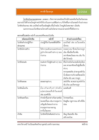 สาขาวิชาเคมี โรงเรียนมหิดลวิทยานุสรณ์ (องค์การมหาชน) หน้า15
สารชีวโมเลกุล 2/2554
โปรตีนก้อนกลม(globular protein) เกิดจากสายพอลิเพปไทด์ม้วนขดพันกันเป็นก้อนกลม
ละลายนําได้ดี ส่วนใหญ่ทําหน้าทีเกียวกับเมทาบอลิซึมต่างๆ ทีเกิดขึนภายในเซลล์ ตัวอย่างของ
โปรตีนก้อนกลม เช่น เอนไซม์ ฮอร์โมนอินซูลิน ฮีโมโกลบิน โกลบูลินในพลาสมา เป็นต้น
นอกจากจะแบ่งโปรตีนตามโครงสร้างแล้วยังสามารถแบ่งตามหน้าทีได้ดังตาราง
ตารางที 3.5ชนิด หน้าที และแหล่งทีพบของโปรตีน
ชนิดของโปรตีน หน้าที ตัวอย่างแหล่งทีพบ
โปรตีนตัวเร่งปฏิกิริยา
(Enzyme)
เร่งปฏิกิริยาในเซลล์สิงมีชีวิต เอนไซม์ เช่น อะไมเลสใน
นําลาย
โปรตีนโครงสร้าง ให้ความแข็งแรงและช่วยคง
รูปร่างโครงสร้างต่างๆ ของ
ร่างกาย
คอลลาเจน ซึงพบในกระดูก
เอ็น เนือเยือเกียวพัน
เคราตินพบในผม ขน เล็บ กีบ
สัตว์ ผิวหนัง
โปรตีนขนส่ง ขนส่งสารไปสู่ส่วนต่างๆ ของ
ร่างกาย
ฮีโมโกลบินในเซลล์เม็ดเลือด
แดง พาออกซิเจนไปสู่เนือเยือ
ต่างๆ
ทรานสเฟอริน นําธาตุเหล็กใน
นําเลือดจากบริเวณทีสะสมไป
ยังม้าม ตับ และ กระดูก
โปรตีนสะสม สะสมธาตุต่างๆ เฟอริทิน สะสมธาตุเหล็กใน
ตับ ม้าม และไขกระดูก
โปรตีนป้องกัน ป้ อ ง กั น ห รื อ กํ า จั ด สิ ง
แปลกปลอมทีเข้าในเซลล์
เช่น แบคทีเรีย
แอนติบอดี
โปรตีนฮอร์โมน ทําหน้าทีแตกต่างกันตามชนิด
ของฮอร์โมน เช่น ควบคุมการ
เจริญเติบโตของร่างกาย
ควบคุมการเผาผลาญ
คาร์โบไฮเดรต
โกรทฮอร์โมน
อินซูลิน กลูคากอน สร้างทีตับ
อ่อน
ตัวพิษ โปรตีนทีเป็นพิษต่อร่างกาย พิษงู พิษคอตีบ พิษ
อหิวาตกโรค
 