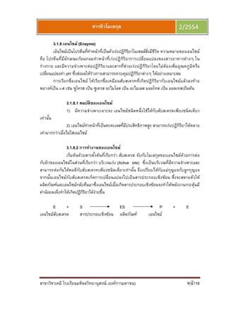 สาขาวิชาเคมี โรงเรียนมหิดลวิทยานุสรณ์ (องค์การมหาชน) หน้า16
สารชีวโมเลกุล 2/2554
3.1.8 เอนไซม์ (Enzyme)
เอ็นไซม์เป็นโปรตีนทีทําหน้าทีเป็นตัวเร่งปฏิกิริยาในเซลล์สิงมีชีวิต ความหมายของเอนไซม์
คือ โปรตีนทีมีลักษณะก้อนกลมทําหน้าทีเร่งปฏิกิริยาการเปลียนแปลงของสารอาหารต่างๆ ใน
ร่างกาย และมีความจําเพาะต่อปฏิกิริยาและสารทีช่วยเร่งปฏิกิริยาโดยไม่ต้องเพิมอุณหภูมิหรือ
เปลียนแปลงค่า pH ซึงส่งผลให้ร่างกายสามารถควบคุมปฏิกิริยาต่างๆ ได้อย่างเหมาะสม
การเรียกชือเอนไซม์ ให้เรียกชือเหมือนสับสเตรททีเกิดปฏิกิริยากับเอนไซม์แล้วลงท้าย
พยางค์เป็น เ-ส เช่น ซูโครส เป็น ซูเครส อะไมโลส เป็น อะไมเลส มอลโทส เป็น มอลเทสเป็นต้น
3.1.8.1 สมบัติของเอนไซม์
1) มีความจําเพาะเจาะจง เอนไซม์ชนิดหนึงใช้ได้กับสับสเตรตเพียงชนิดเดียว
เท่านัน
2) เอมไซม์ทําหน้าทีเป็นคะตะเลสทีมีประสิทธิภาพสูง สามารถเร่งปฏิกิริยาได้หลาย
เท่ามากกว่าเมือไม่ใส่เอมไซม์
3.1.8.2 การทํางานของเอนไซม์
เริมต้นด้วยสารตังต้นทีเรียกว่า สับสเตรต จับกับโมเลกุลของเอนไซม์ด้วยการต่อ
กับผิวของเอนไซม์ในส่วนทีเรียกว่า บริเวณเร่ง (Active site) ซึงเป็นบริเวณทีมีความจําเพาะและ
สามารถต่อกันได้พอดีกับสับสเตรทเพียงชนิดเดียวเท่านัน จึงเปรียบได้กับแม่กุญแจกับลูกกุญแจ
จากนันเอนไซม์กับสับสเตรตเกิดการเปลียนแปลงไปเป็นสารประกอบเชิงซ้อน ซึงจะสลายตัวให้
ผลิตภัณฑ์และเอนไซม์กลับคืนมาซึงเอนไซม์เมือเกิดสารประกอบเชิงซ้อนจะทําให้พลังงานกระตุ้นมี
ค่าน้อยลงจึงทําให้เกิดปฏิกิริยาได้ง่ายขึน
E + S ES P + E
เอนไซม์สับสเตรด สารประกอบเชิงซ้อน ผลิตภัณฑ์ เอนไซม์
 