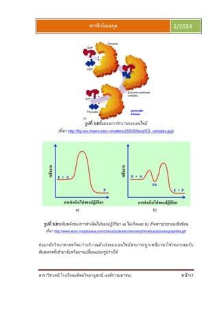 สาขาวิชาเคมี โรงเรียนมหิดลวิทยานุสรณ์ (องค์การมหาชน) หน้า17
สารชีวโมเลกุล 2/2554
รูปที 3.8ขันตอนการทํางานของเอนไซม์
(ทีมา http://fig.cox.miami.edu/~cmallery/255/255enz/ES_complex.jpg)
a) b)
รูปที 3.9ระดับพลังของการดําเนินไปของปฏิกิริยา a) ไม่เกิดและ b) เกิดสารประกอบเชิงซ้อน
(ทีมา http://www.atom.rmutphysics.com/charud/scibook/chemistry2/kinetics/pictures/graph9st.gif)
ต่อมานักวิทยาศาสตร์พบว่าบริเวณตัวเร่งของเอนไซม์สามารถถูกเหนียวนําให้เหมาะสมกับ
สับสเตรตทีเข้ามาจับหรืออาจเปลียนแปลงรูปร่างได้
 