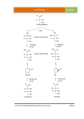 สาขาวิชาเคมี โรงเรียนมหิดลวิทยานุสรณ์ (องค์การมหาชน) หน้า32
สารชีวโมเลกุล 2/2554
OH
H OH
H O
D-Glyceraldehyde
HCN
OH
H OH
OHH
CN
OH
H OH
HHO
CN
1) Ba(OH)2 1) Ba(OH)2
2) H3O+
2) H3O+
OH
H OH
OHH
HO O
OH
H OH
HHO
HO O
O
OH OH
O
O
OH
O
OH
Na-Hg, H2O
pH 3-5
Na-Hg, H2O
pH 3-5
OH
H OH
OHH
H O
OH
H OH
HHO
H O
Epimeric cyanohydrins
Epimeric aldonic acids
D-erythrose D-threose
 