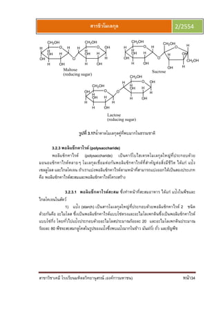 สาขาวิชาเคมี โรงเรียนมหิดลวิทยานุสรณ์ (องค์การมหาชน) หน้า34
สารชีวโมเลกุล 2/2554
OH
OH
H
H
OHH
OH
CH2OH
H
OH OH
H
H
OHH
OH
CH2OH
H
O
Maltose
(reducing sugar)
OOH
H
H
OHH
OH
CH2OH
H
OH OH
H
H
OHH
OH
CH2OH
H
H
O
Lactose
(reducing sugar)
OH
OH
H
OHH
OH
CH2OH
H
H
CH2OH
CH2OH
H
H
OH
O
H
OH
O
Sucrose
รูปที 3.17นําตาลโมเลกุลคู่ทีพบมากในธรรมชาติ
3.2.3 พอลิแซ็กคาไรด์ (polysaccharide)
พอลิแซ็กคาไรด์ (polysaccharide) เป็นคาร์โบไฮเดรตโมเลกุลใหญ่ทีประกอบด้วย
มอนอแซ็กคาไรด์หลายๆ โมเลกุลเชือมต่อกันพอลิแซ็กคาไรด์ทีสําคัญต่อสิงมีชีวิต ได้แก่ แป้ง
เซลลูโลส และไกลโคเจน ถ้าเราแบ่งพอลิแซ็กคาไรด์ตามหน้าทีสามารถแบ่งออกได้เป็นสองประเภท
คือ พอลิแซ็กคาไรด์สะสมและพอลิแซ็กคาไรด์โครงสร้าง
3.2.3.1 พอลิแซ็กคาไรด์สะสม ซึงทําหน้าทีสะสมอาหาร ได้แก่ แป้งในพืชและ
ไกลโคเจนในสัตว์
1) แป้ง (starch) เป็นสารโมเลกุลใหญ่ทีประกอบด้วยพอลิแซ็กคาไรด์ 2 ชนิด
ด้วยกันคือ อะไมโลส ซึงเป็นพอลิแซ็กคาไรด์แบบโซ่ตรงและอะไมโลเพกตินซึงเป็นพอลิแซ็กคาไรด์
แบบโซ่กิง โดยทัวไปแป้งประกอบด้วยอะไมโลสประมาณร้อยละ 20 และอะไมโลเพกตินประมาณ
ร้อยละ 80 พืชจะสะสมกลูโคสในรูปของแป้งซึงพบแป้งมากในข้าว มันฝรัง ถัว และธัญพืช
 