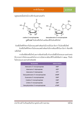 สาขาวิชาเคมี โรงเรียนมหิดลวิทยานุสรณ์ (องค์การมหาชน) หน้า54
สารชีวโมเลกุล 2/2554
หมู่ฟอสเฟตนันจับกับนําตาลทีคาร์บอนตําแหน่งที 5
รูปที 3.30 ไรโบนิวคลีโอไทด์ และดีออกซีไรโบนิวคลีโอไทด์
นิวคลีโอไซด์ทีเกิดจากไนโตรเจนเบสสร้างพันธะกับนําตาลไรโบส เรียกว่า ไรโบนิวคลีโอไซด์
นิวคลีโอไซด์ทีเกิดจากไนโตรเจนเบสสร้างพันธะกับนําตาลดีออกซีไรโบส เรียกว่า ดีออกซีนิ
วคลีโอไซด์
การเรียกชือนิวคลีโอไทด์ และการเขียนตัวย่อนัน ตัวแรกเป็นชือไนโตเจนเบส และตําแหน่ง
ทีเกาะระหว่างไนโตรเจนเบสกับนําตาล หากเป็นนําตาลดีออกซีไรโบสให้เติมคําว่า deoxy ไว้หน้า
ไนโตรเจนเบส และตามด้วยฟอสเฟต
Nucleotide Abbreviation
Adenosine 5’-monophosphate
Adenosine 5’-diphosphate
Adenosine 5’-triphosphate
Deoxyadenosine 5’-monophosphate
Guanosine 5’-monophosphate
Cytidine 5’-monophosphate
Uridine 5’-monophosphate
Deoxythymidine 5’-monophosphate
AMP
ADP
ATP
dAMP
GMP
CMP
UMP
dTMP
 
