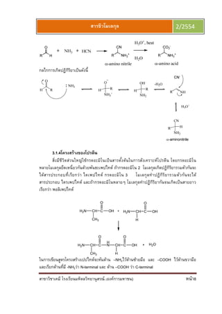 สาขาวิชาเคมี โรงเรียนมหิดลวิทยานุสรณ์ (องค์การมหาชน) หน้า8
สารชีวโมเลกุล 2/2554
กลไกการเกิดปฏิกิริยาเป็นดังนี
3.1.4โครงสร้างของโปรตีน
สิงมีชีวิตส่วนใหญ่ใช้กรดอะมิโนเป็นสารตังต้นในการสังเคราะห์โปรตีน โดยกรดอะมิโน
หลายโมเลกุลยึดเหนียวกันด้วยพันธะเพปไทด์ ถ้ากรดอะมิโน 2 โมเลกุลเกิดปฏิกิริยารวมตัวกันจะ
ได้สารประกอบทีเรียกว่า ไดเพปไทด์ กรดอะมิโน 3 โมเลกุลทําปฏิกิริยารวมตัวกันจะได้
สารประกอบ ไตรเพปไทด์ และถ้ากรดอะมิโนหลายๆ โมเลกุลทําปฏิกิริยากันจนเกิดเป็นสายยาว
เรียกว่า พอลิเพปไทด์
H2N CH C
CH3
OH
O
H2N CH C
H
OH
O
H2N CH C
CH3
O
H
N CH C
H
OH
O
H2O
ในการเขียนสูตรโครงสร้างเปปไทด์จะหันด้าน –NH2ไว้ด้านซ้ายมือ และ –COOH ไว้ด้านขวามือ
และเรียกด้านทีมี -NH2ว่า N-terminal และ ด้าน –COOH ว่า C-terminal
 