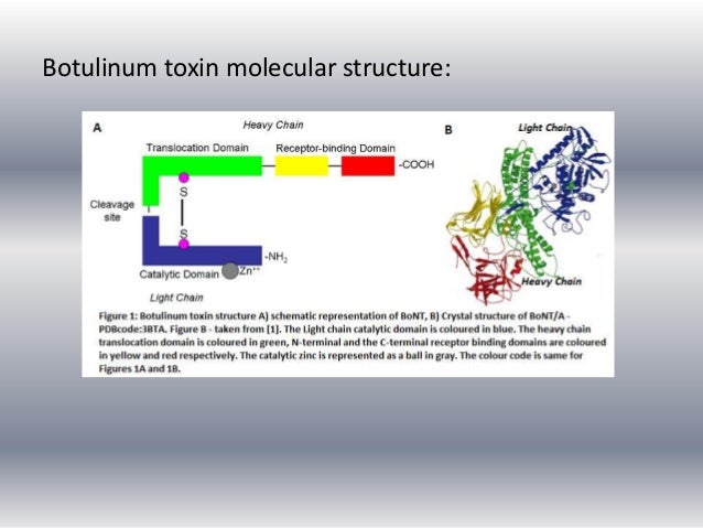 Lead case study image