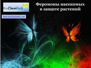 Феромоны насекомых
в защите растений
www.biochemtech.net
 