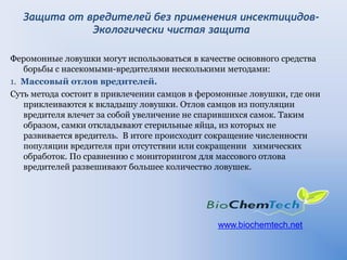 Защита от вредителей без применения инсектицидов-
Экологически чистая защита
Феромонные ловушки могут использоваться в качестве основного средства
борьбы с насекомыми-вредителями несколькими методами:
1. Массовый отлов вредителей.
Суть метода состоит в привлечении самцов в феромонные ловушки, где они
приклеиваются к вкладышу ловушки. Отлов самцов из популяции
вредителя влечет за собой увеличение не спарившихся самок. Таким
образом, самки откладывают стерильные яйца, из которых не
развивается вредитель. В итоге происходит сокращение численности
популяции вредителя при отсутствии или сокращении химических
обработок. По сравнению с мониторингом для массового отлова
вредителей развешивают большее количество ловушек.
www.biochemtech.net
 