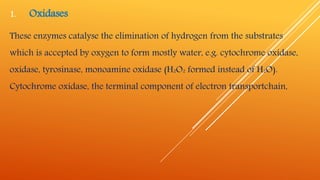 1. Oxidases
These enzymes catalyse the elimination of hydrogen from the substrates
which is accepted by oxygen to form mostly water, e.g. cytochrome oxidase,
oxidase, tyrosinase, monoamine oxidase (H2O2 formed instead of H2O).
Cytochrome oxidase, the terminal component of electron transportchain,
 