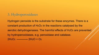 3. Hydroperoxidases
Hydrogen peroxide is the substrate for these enzymes. There is a
constant production of H2O2 in the reactions catalysed by the
aerobic dehydrogenases. The harmful effects of H2O2 are prevented
by hydroperoxidases, e.g. peroxidase and catalase.
2H2O2 2H2O + O2
 