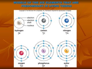 Biochem & enzymol 1 Dr. Shivaveerakumar S. | PPT