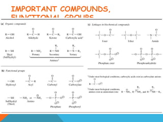 IMPORTANT COMPOUNDS,
FUNCTIONAL GROUPS
 
