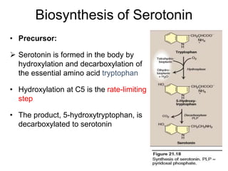 Biosynthesis of Serotonin
• Precursor:
 Serotonin is formed in the body by
hydroxylation and decarboxylation of
the essential amino acid tryptophan
• Hydroxylation at C5 is the rate-limiting
step
• The product, 5-hydroxytryptophan, is
decarboxylated to serotonin
 