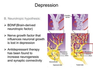 Depression
B. Neurotropic hypothesis:
 BDNF(Brain-derived
neurotropic factor)
 Nerve growth factor that
influences neuronal growth
is lost in depression
 Antidepressant therapy
has been found to
increase neurogenesis
and synaptic connectivity
 