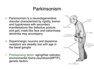 Parkinsonism
• Parkinsonism is a neurodegenerative
disorder characterized by rigidity, tremor
and hypokinesia with secondary
manifestations like defective posture
and gait, mask-like face and sialorrhoea;
dementia may accompany
• Dopaminergic neurons and dopamine
receptors are steadily lost with age in
the basal ganglia
• Predisposing factor: aging(free radicals),
environmental toxins,neurotoxin(MPTP),
genetic factors
 