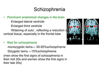 Schizophrenia
• Prominent anatomical changes in the brain
Enlarged lateral ventricle
Enlarged third ventricle
Widening of sulci , reflecting a reduction of
cortical tissue, especially in the frontal lobe
• Risk for schizophrenia
monozygotic twins--- 30-50%schizophrenia
Dizygotic twins ---15%schizophrenia
(men show the first signs of schizophrenia in
their mid 20s and women show the first signs in
their late 20s)
 