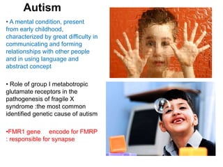 Autism
• A mental condition, present
from early childhood,
characterized by great difficulty in
communicating and forming
relationships with other people
and in using language and
abstract concept
• Role of group I metabotropic
glutamate receptors in the
pathogenesis of fragile X
syndrome :the most common
identified genetic cause of autism
•FMR1 gene encode for FMRP
: responsible for synapse
 