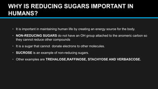 WHY IS REDUCING SUGARS IMPORTANT IN
HUMANS?
• It is important in maintaining human life by creating an energy source for the body.
• NON-REDUCING SUGARS do not have an OH group attached to the anomeric carbon so
they cannot reduce other compounds
• It is a sugar that cannot donate electrons to other molecules.
• SUCROSE is an example of non-reducing sugars.
• Other examples are TREHALOSE,RAFFINOSE, STACHYOSE AND VERBASCOSE.
 