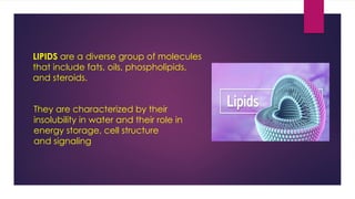 Lapid Examples Biochemistry presentation of Lipid's definition and examples | PPTX