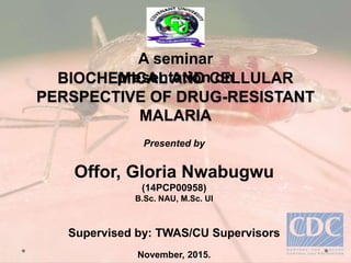 BIOCHEMICAL AND CELLULAR
PERSPECTIVE OF DRUG-RESISTANT
MALARIA
Presented by
Offor, Gloria Nwabugwu
(14PCP00958)
B.Sc. NAU, M.Sc. UI
Supervised by: TWAS/CU Supervisors
November, 2015.
A seminar
presentation on
 