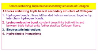 Biochemical and clinical aspects of collagen | PDF
