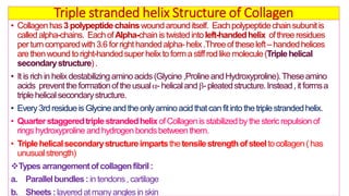 Biochemical and clinical aspects of collagen | PDF