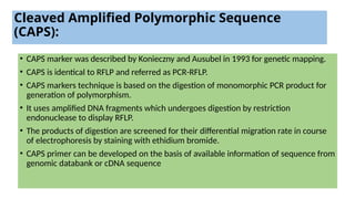 -Biochemical and molecular markerss.pptx