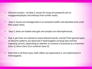 Allozyme Pattern Biochemical and molecular markers for characterization | PPT