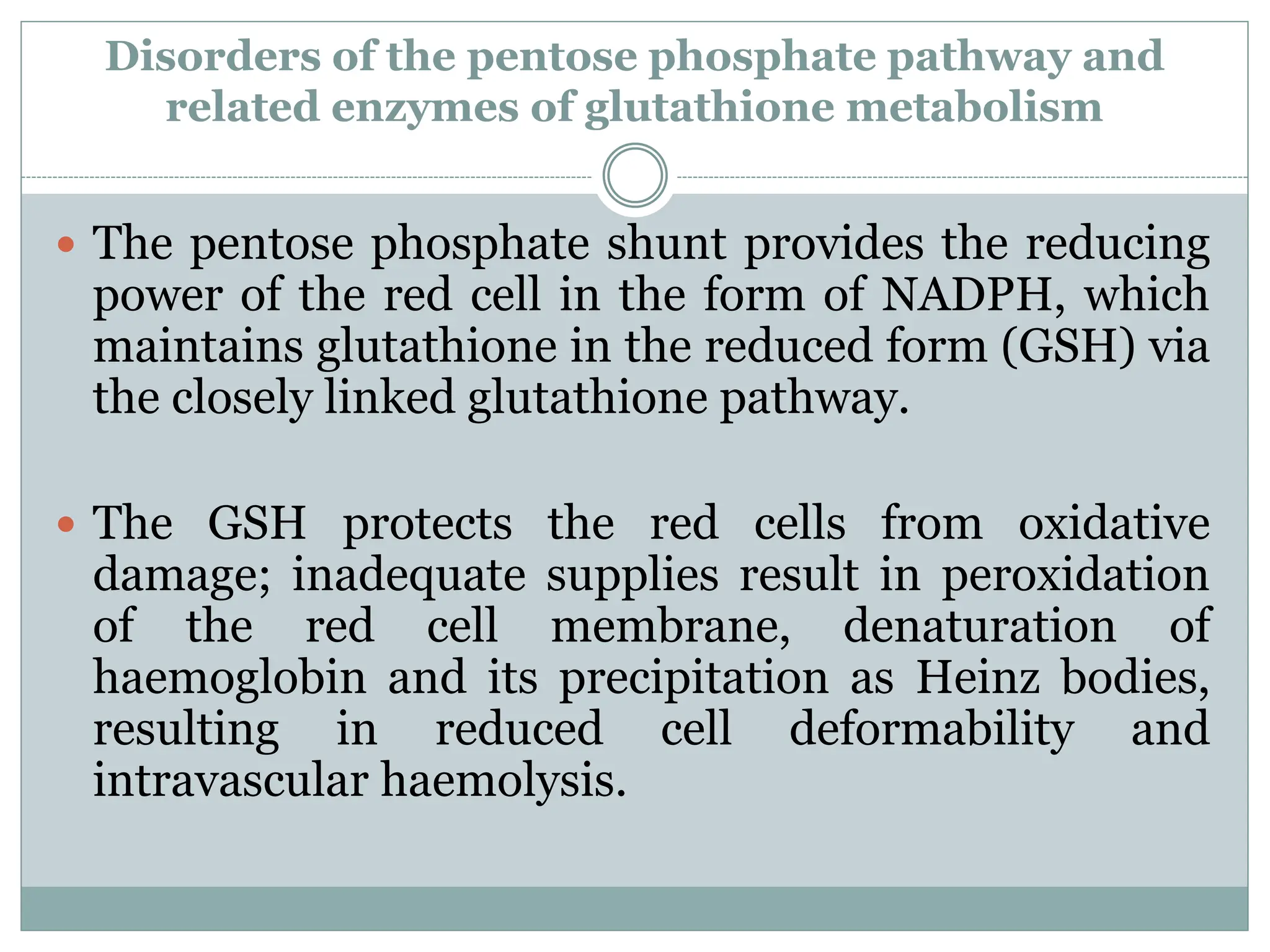 anemias due to disorders of glutathione metabolism Biochemical aspects anemia part 2.pdf bpc 157 carpal tunnel Size:3 Gallon (Ship to JP Only) Skin Repair