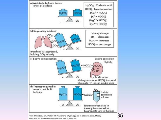 Biochemical basis of Acid base imbalance.pdf
