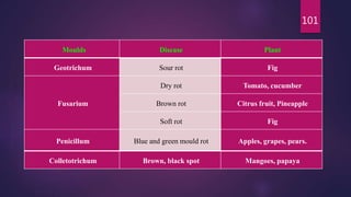101
Moulds Disease Plant
Geotrichum Sour rot Fig
Fusarium
Dry rot Tomato, cucumber
Brown rot Citrus fruit, Pineapple
Soft rot Fig
Penicillum Blue and green mould rot Apples, grapes, pears.
Colletotrichum Brown, black spot Mangoes, papaya
 