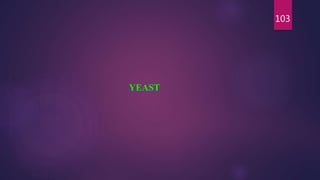 103
YEAST
 