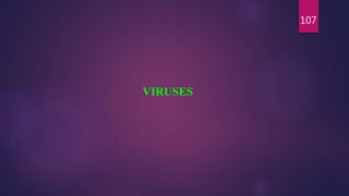 107
VIRUSES
 