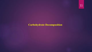 11
Carbohydrate Decomposition
 