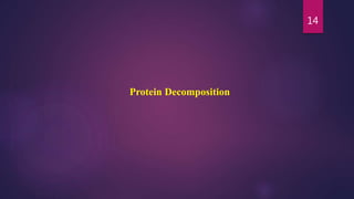14
Protein Decomposition
 