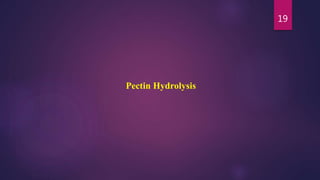19
Pectin Hydrolysis
 