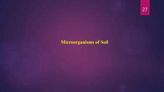 27
Microorganisms of Soil
 