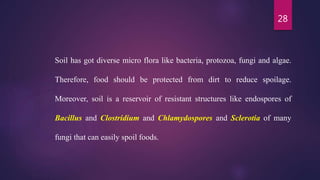 28
Soil has got diverse micro flora like bacteria, protozoa, fungi and algae.
Therefore, food should be protected from dirt to reduce spoilage.
Moreover, soil is a reservoir of resistant structures like endospores of
Bacillus and Clostridium and Chlamydospores and Sclerotia of many
fungi that can easily spoil foods.
 