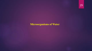 29
Microorganisms of Water
 
