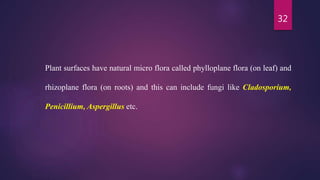 32
Plant surfaces have natural micro flora called phylloplane flora (on leaf) and
rhizoplane flora (on roots) and this can include fungi like Cladosporium,
Penicillium, Aspergillus etc.
 
