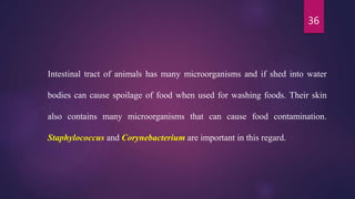 36
Intestinal tract of animals has many microorganisms and if shed into water
bodies can cause spoilage of food when used for washing foods. Their skin
also contains many microorganisms that can cause food contamination.
Staphylococcus and Corynebacterium are important in this regard.
 
