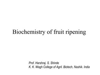 Biochemistry of fruit ripening
Prof. Harshraj. S. Shinde
K. K. Wagh College of Agril. Biotech, Nashik. India
 