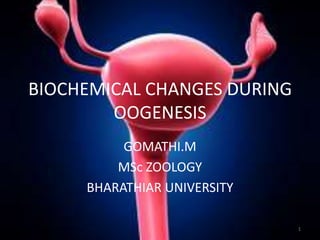 BIOCHEMICAL CHANGES DURING
OOGENESIS
GOMATHI.M
MSc ZOOLOGY
BHARATHIAR UNIVERSITY
1

 