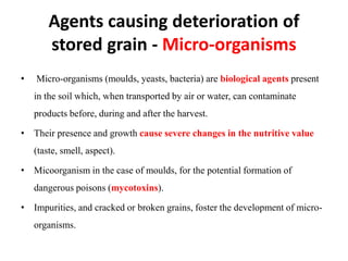 Micro Grains Example Biochemical changes in food grains | PPTX