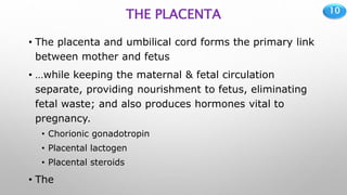 10
THE PLACENTA
• The placenta and umbilical cord forms the primary link
between mother and fetus
• …while keeping the maternal & fetal circulation
separate, providing nourishment to fetus, eliminating
fetal waste; and also produces hormones vital to
pregnancy.
• Chorionic gonadotropin
• Placental lactogen
• Placental steroids
• The
 