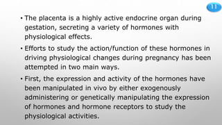 11
• The placenta is a highly active endocrine organ during
gestation, secreting a variety of hormones with
physiological effects.
• Efforts to study the action/function of these hormones in
driving physiological changes during pregnancy has been
attempted in two main ways.
• First, the expression and activity of the hormones have
been manipulated in vivo by either exogenously
administering or genetically manipulating the expression
of hormones and hormone receptors to study the
physiological activities.
 