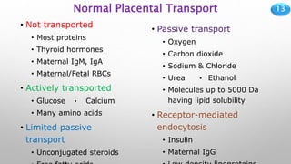 13
Normal Placental Transport
• Not transported
• Most proteins
• Thyroid hormones
• Maternal IgM, IgA
• Maternal/Fetal RBCs
• Actively transported
• Glucose Calcium
• Many amino acids
• Limited passive
transport
• Unconjugated steroids
• Passive transport
• Oxygen
• Carbon dioxide
• Sodium & Chloride
• Urea Ethanol
• Molecules up to 5000 Da
having lipid solubility
• Receptor-mediated
endocytosis
• Insulin
• Maternal IgG
 